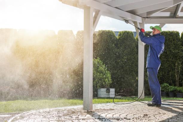 Best Soft Washing  in Iron River, MI