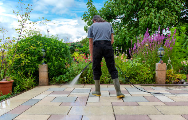 Best Driveway Pressure Washing  in Iron River, MI